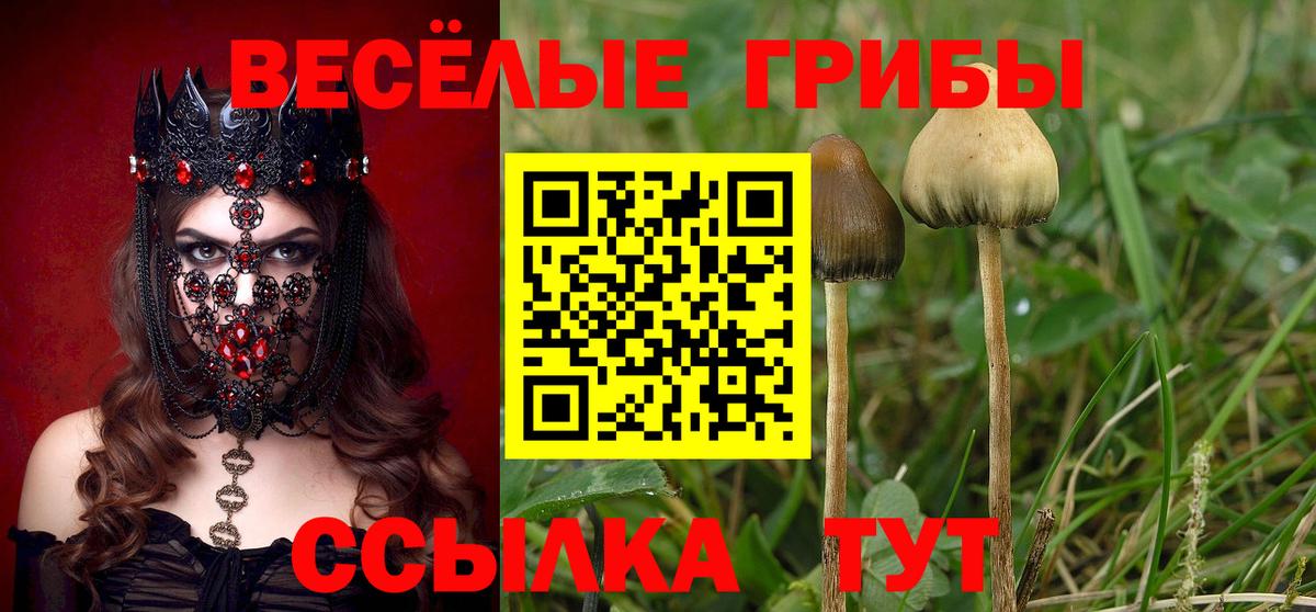 Белово  Псилоцибиновые грибы ЛСД  Вход с VPN 